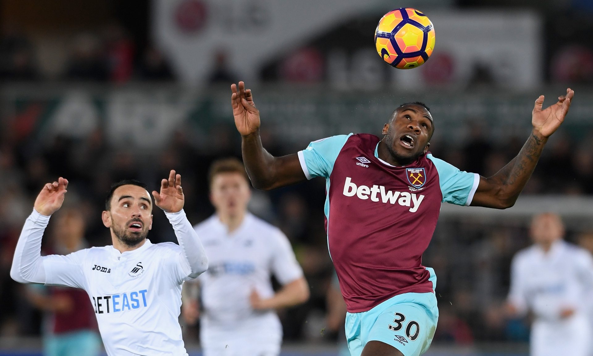 育中已经成 育中已经成